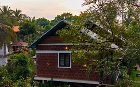 Avocado Cottages By Alaya Stays, Coorg